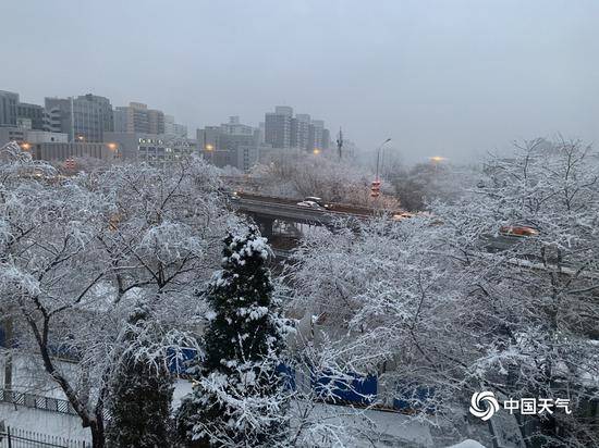 2020北京首场雪刷屏朋友圈 今冬的雪下得很认真