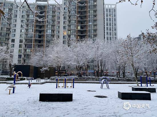 2020北京首场雪刷屏朋友圈 今冬的雪下得很认真