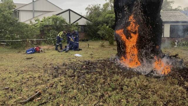 一名71岁的老妇人在树旁遭遇雷击。（图源：悉尼晨报）