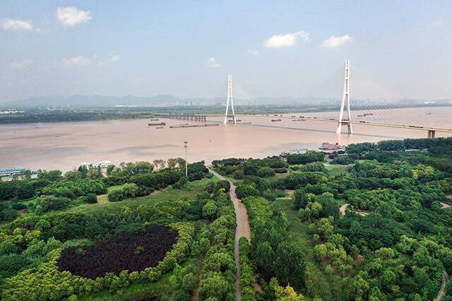 江苏南京雨花台区辖区内的三桥湿地公园毗邻南京长江第三大桥