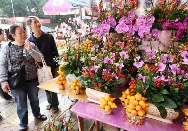 香港花墟年花绽放。图片来源：香港《大公报》记者摄