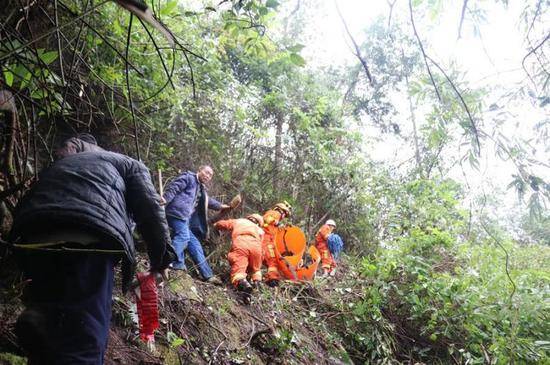 老人上山砍柴3日未归 被找到时已无生命体征