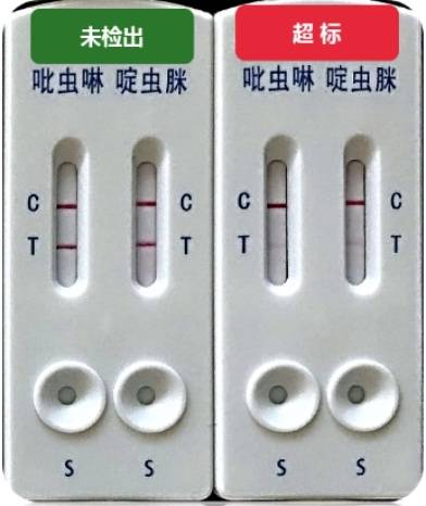 高产玉米、韭蛆绿色防控体系等技术获得国家科学技术奖