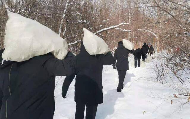 开饭了！哈泥保护区野生动物享用2万斤“树上”玉米大餐