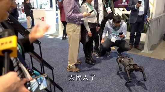 ▲人们围着中国制造的机器狗拍照（视频截图）