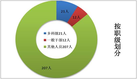 宣城宣州：2019年处置问题线索468件处理442人次