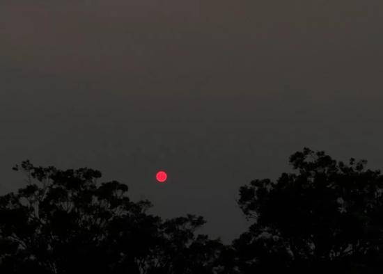 受山火灾害影响，悉尼的太阳变成“红日”。受访者供图