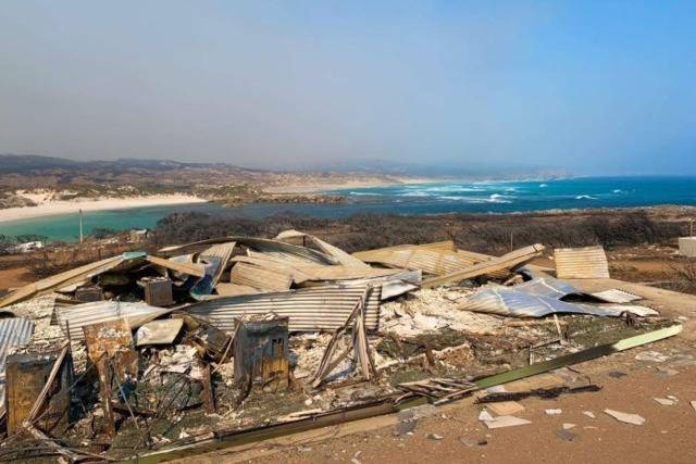 澳大利亚袋鼠岛损失惨重 生态环境遭受严重破坏