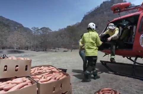 红薯被装上直升机（图源：澳洲第7新闻网）