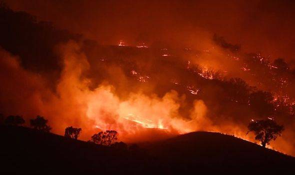 澳大利亚山火持续已有4个月之久，引发全球关注。（每日快报）
