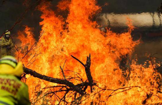  2019年11月11日，在澳大利亚新南威尔士州塔里附近的山地，消防员正在扑灭山火。新华社记者白雪飞摄