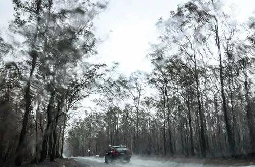 1月9日，澳大利亚新南威尔士州塔里附近迎来降雨。新华社记者白雪飞摄