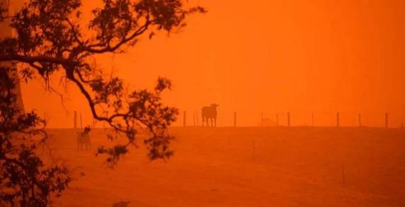天灾与人祸：澳大利亚林火背后的谣言与真相