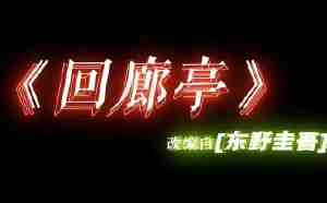 东野圭吾《回廊亭》将拍成国产剧，邓家佳、张新成主演