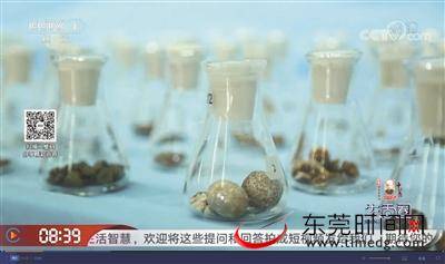 南城医院上央视一套 向全国观众科普“胆结石”