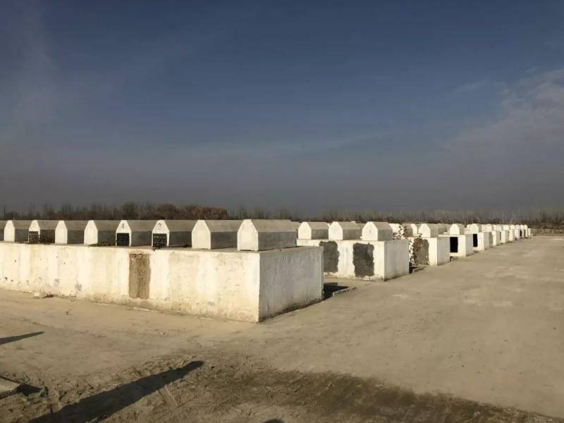维吾尔族坟墓被政府摧毁？CGTN实地探访破CNN谎言