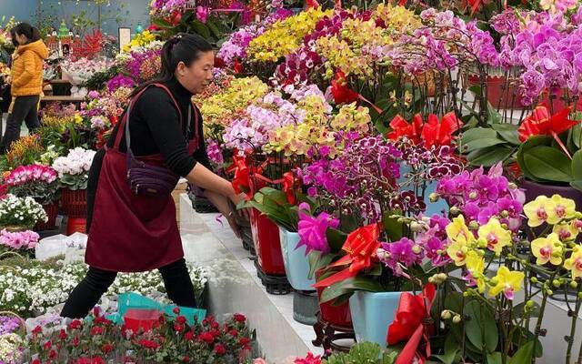 鲜花之路 北京年宵花产业溯源