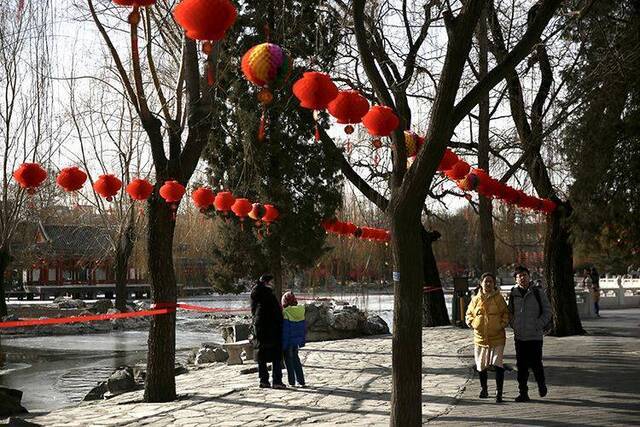 北京大观园彩排“红楼戏”迎春节庙会