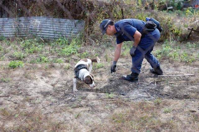 警方出动警犬到农田一带协助搜查。