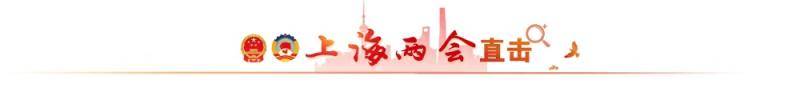 今年正值上海世博会举办十周年，重温世博魅力，上海应该做什么