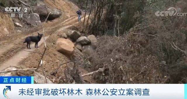 农夫山泉“毁林取水”？央视记者实地采访却遭拒