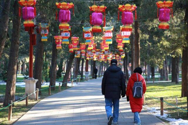 市属公园春节游园会布置近2万灯笼，将赠“福”字年画