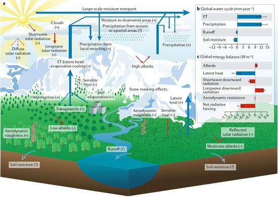 植被变绿通过生物地球物理过程影响气候系统的示意图图片来自北大新闻网