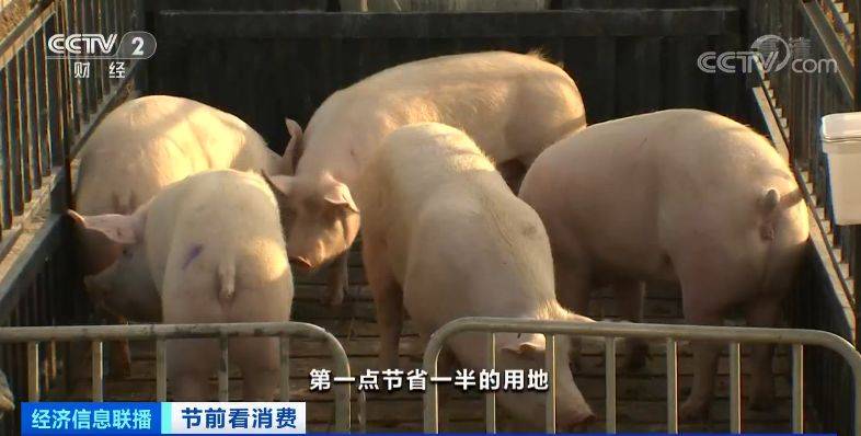 15万吨冻猪肉已“发货” 还有一大拨在路上