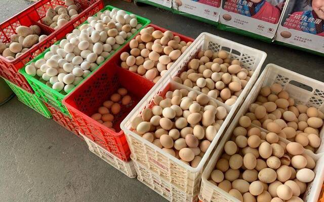 年前鸡蛋价格连续回落 节后很难反弹