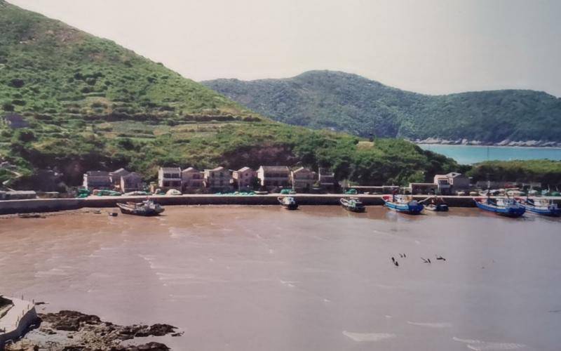 因形似黄鼠狼得名 舟山群岛的鼠浪村本是“鼠狼村”