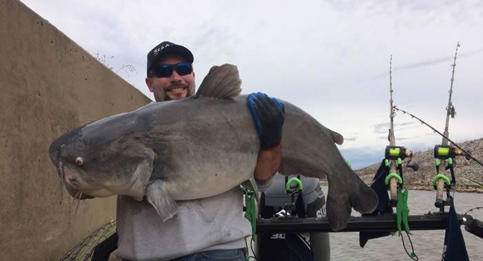 美国渔民创纪录在沃登湖捕到1.4米长草鱼在俄亥俄河中抓到1.3米长蓝鲶鱼