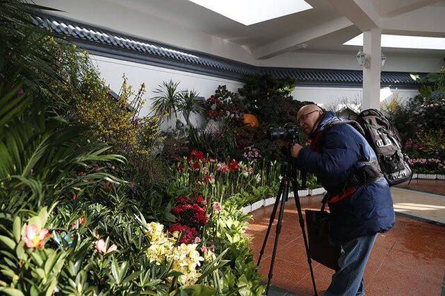 中山公园迎春花卉精品展开幕 70余种精品同期绽放