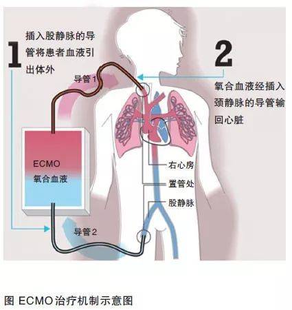 资料图来源：医学论坛网