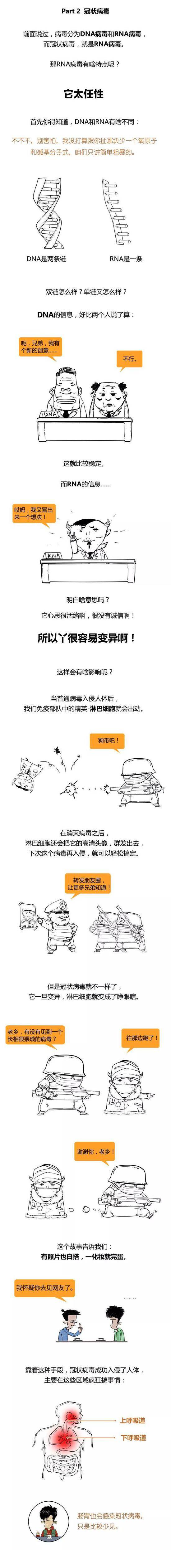 新型冠状病毒究竟是什么？这次说透了