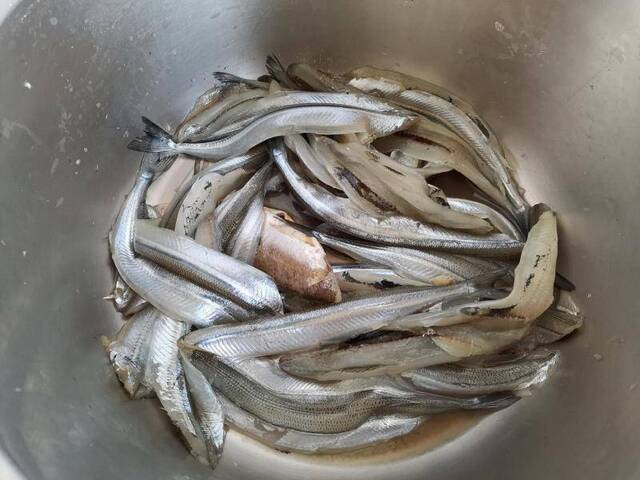 西霞口村的村民：今天家宴吃的海鲜都是我钓的