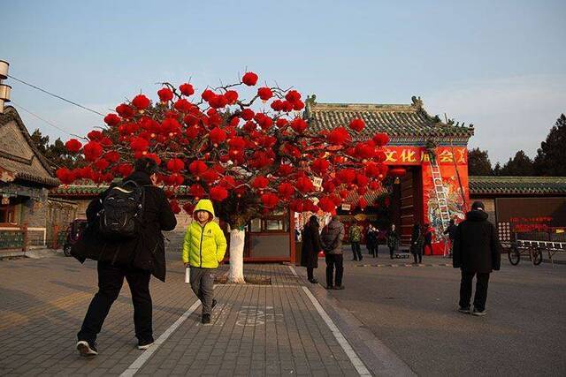 市民来到地坛庙会门口，确认庙会取消的信息。