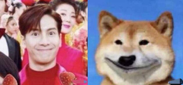 王嘉尔撞脸柴犬