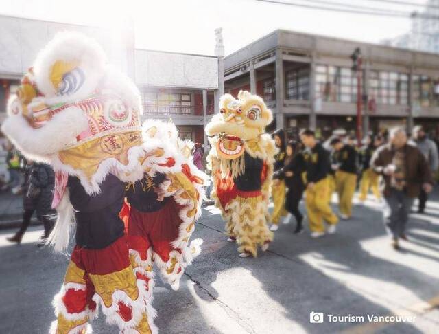 到此一游｜传统舞狮 在温哥华热闹过年