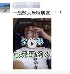 清华博士宅在家给猫讲函数春节无聊时你在干嘛？