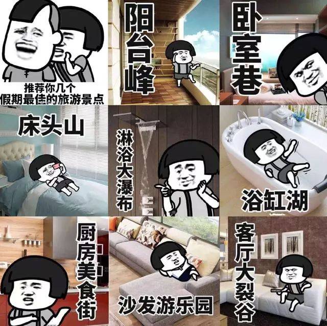 清华博士宅在家给猫讲函数春节无聊时你在干嘛？