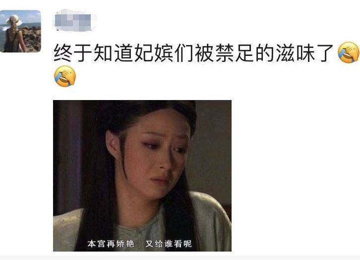 清华博士宅在家给猫讲函数春节无聊时你在干嘛？