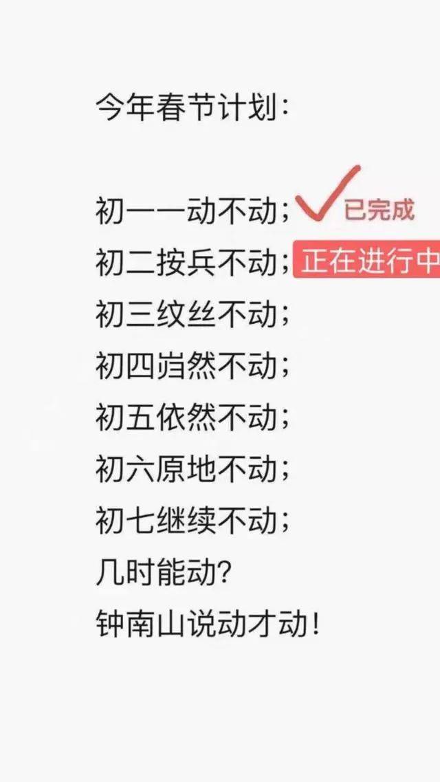 清华博士宅在家给猫讲函数春节无聊时你在干嘛？