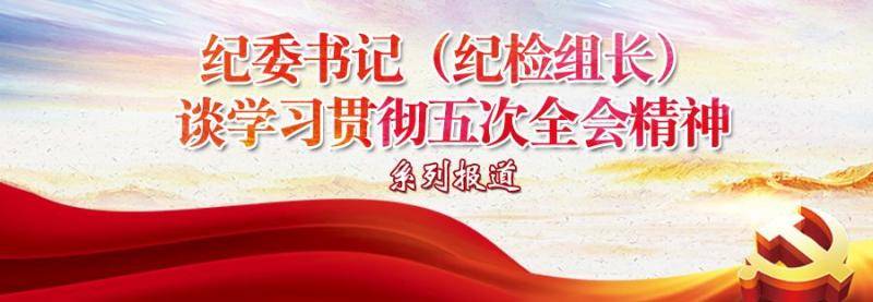 以四个持续发力强化政治监督 确保重大决策部署有效落实——纪委书记（纪检组长）谈学习贯彻五次全会精神