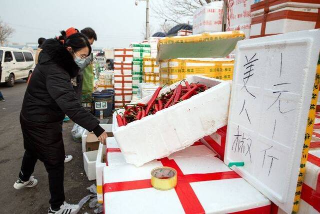 北京农产品货源充足 市民无需囤积蔬菜 组图