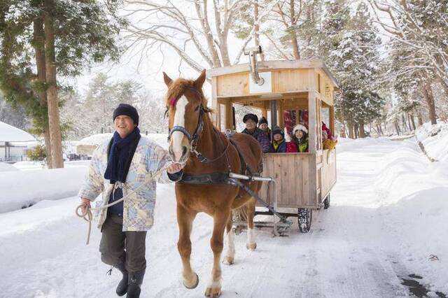 到此一游｜青森之旅，住雪童子房间、坐下酒小食列车