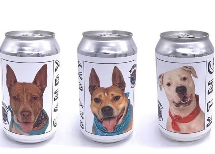 美国佛罗里达州啤酒厂将小狗照片印在啤酒罐上希望借此帮它们找新家
