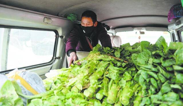 成都“菜篮子”供应足