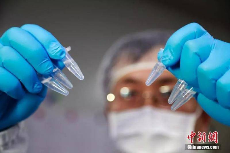 科研人员在演示新型冠状病毒mRNA疫苗研发实验过程。汤彦俊摄