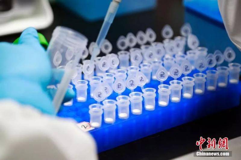2月1日，科研人员在演示新型冠状病毒mRNA疫苗研发实验过程。汤彦俊摄
