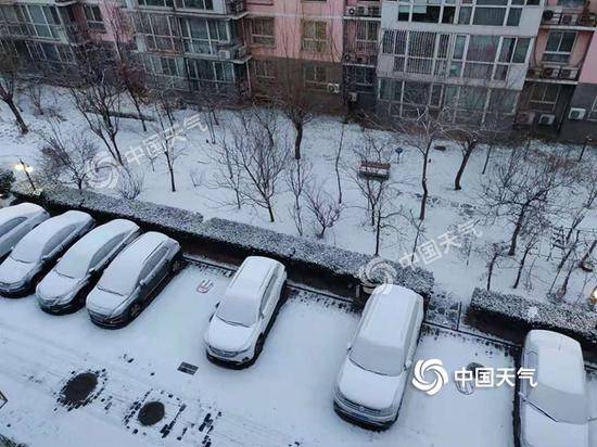 降雪光临京城，地面一片雪白。